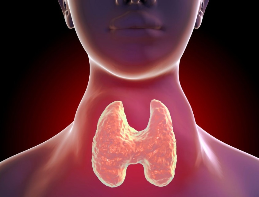 Thyroid Disorder Treatment in Navi Mumbai